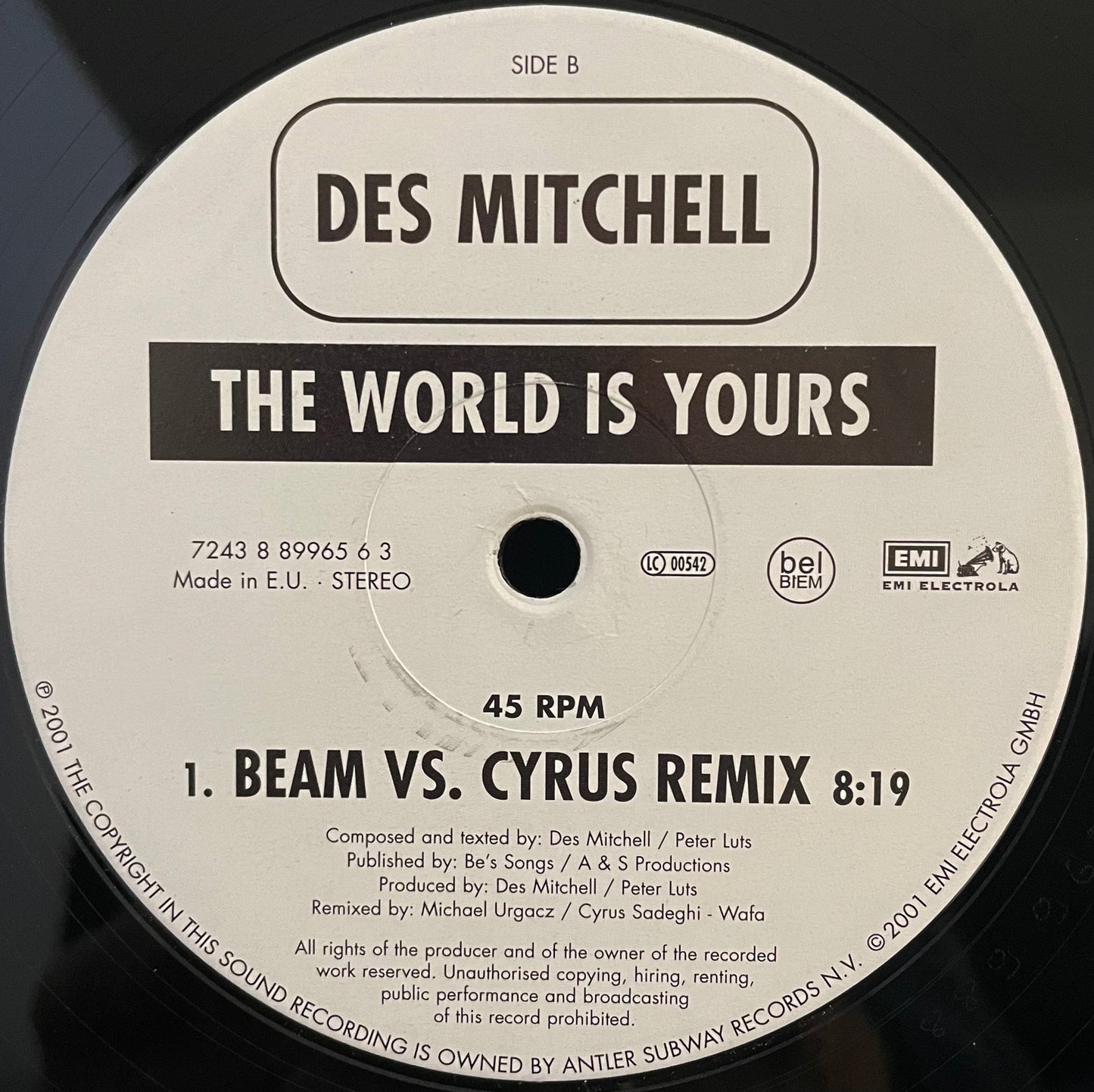 Des Mitchell – The World Is Yours – USED Vinyl 12" Single