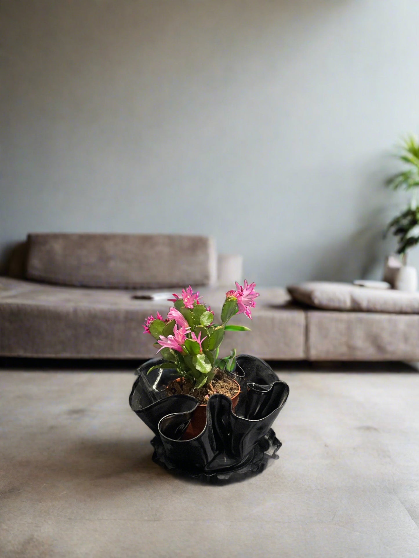 12" Vinyl Record Planter with 7" Vinyl Record Tray