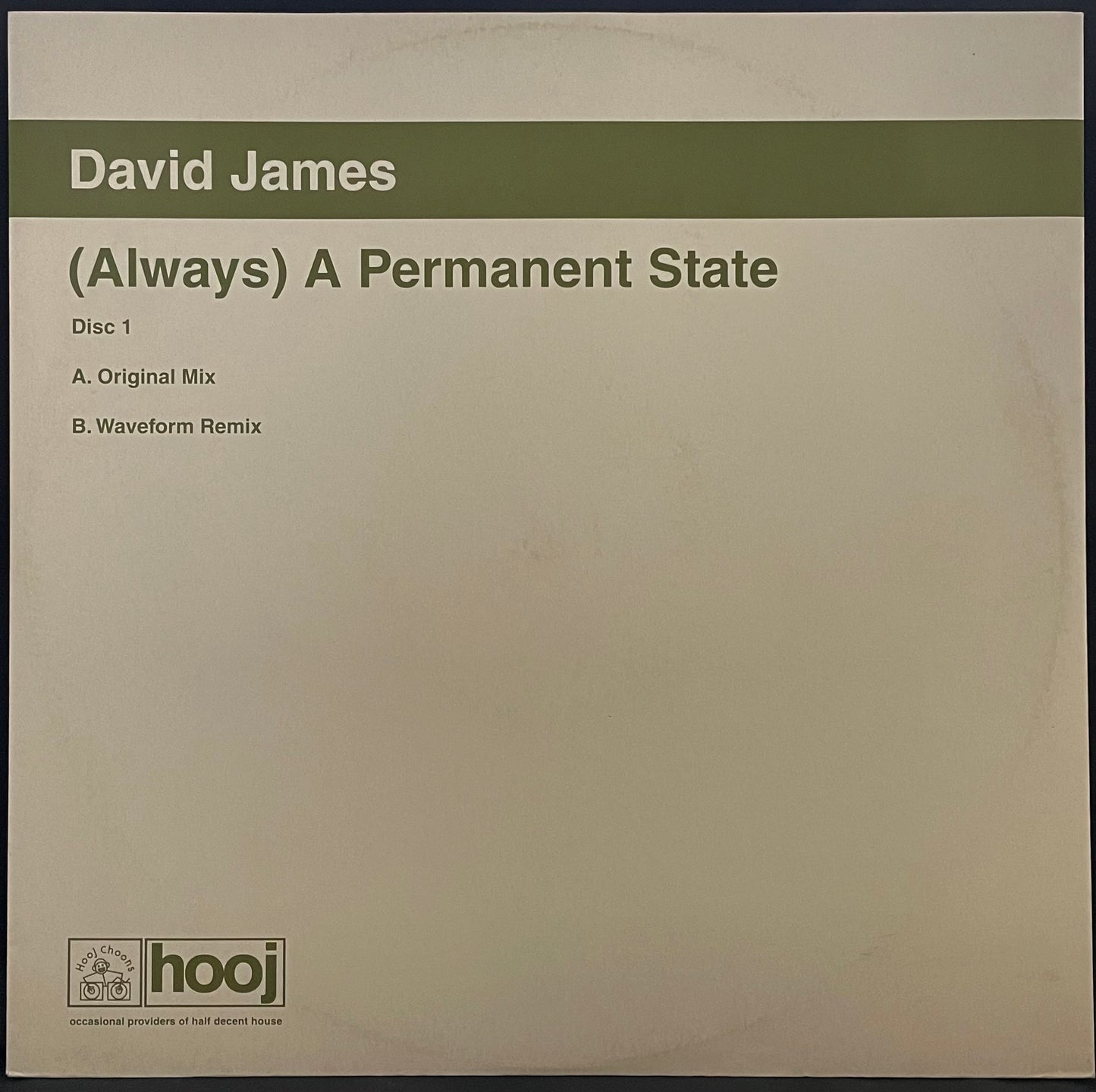 David James – (Always) A Permanent State – USED Vinyl 12" Single