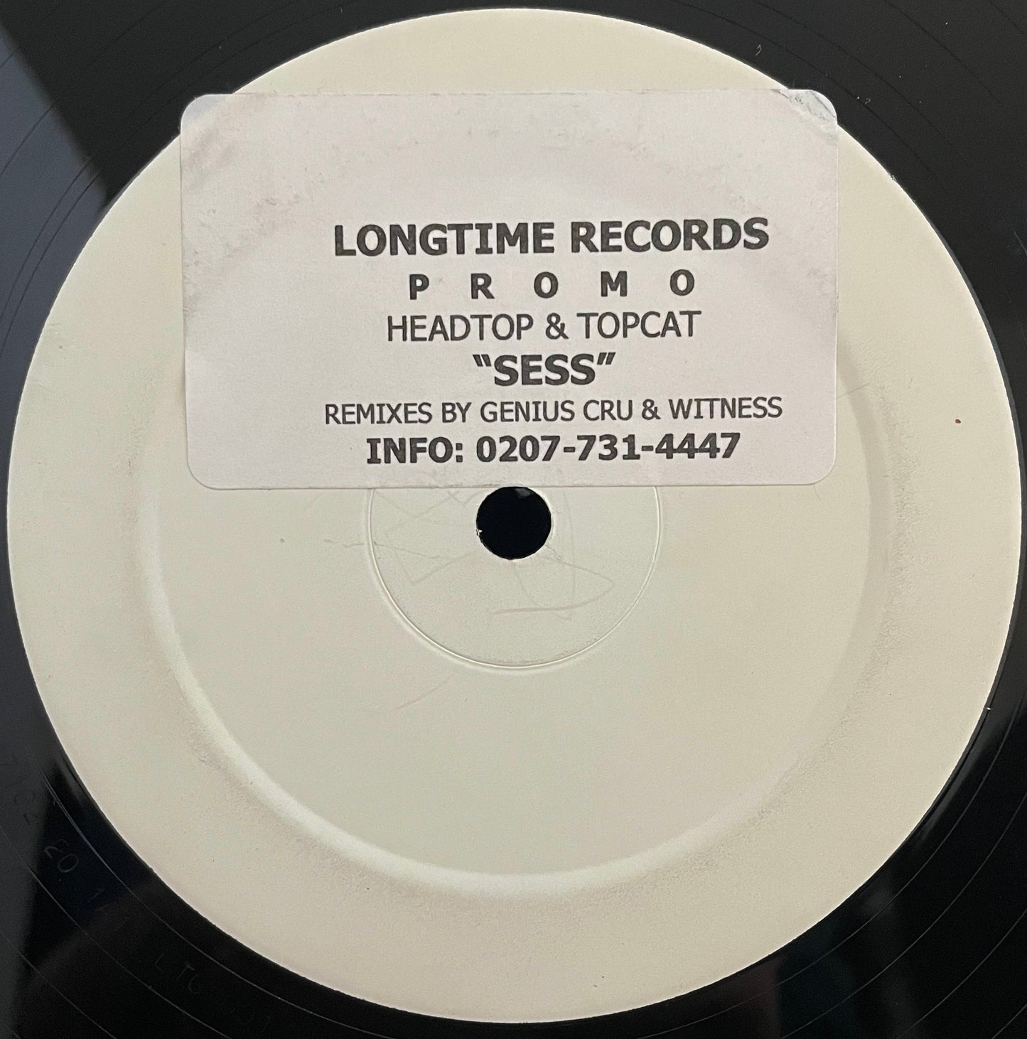 Headtop & Topcat – Sess – USED Vinyl 12" Single PROMO White label