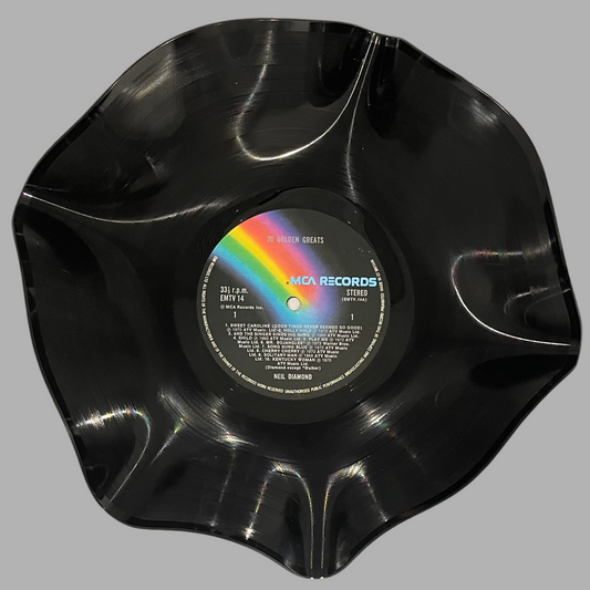 The 'Rainbow’ 12" Vinyl Record Bowl