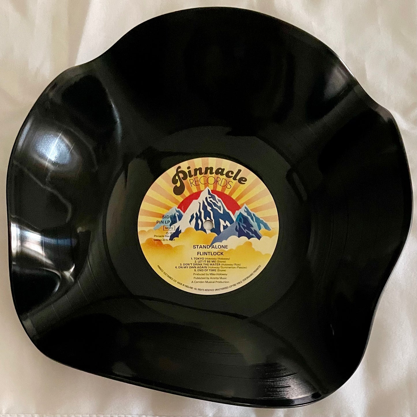 The 'Pinnacle’ 12" Vinyl Record Bowl