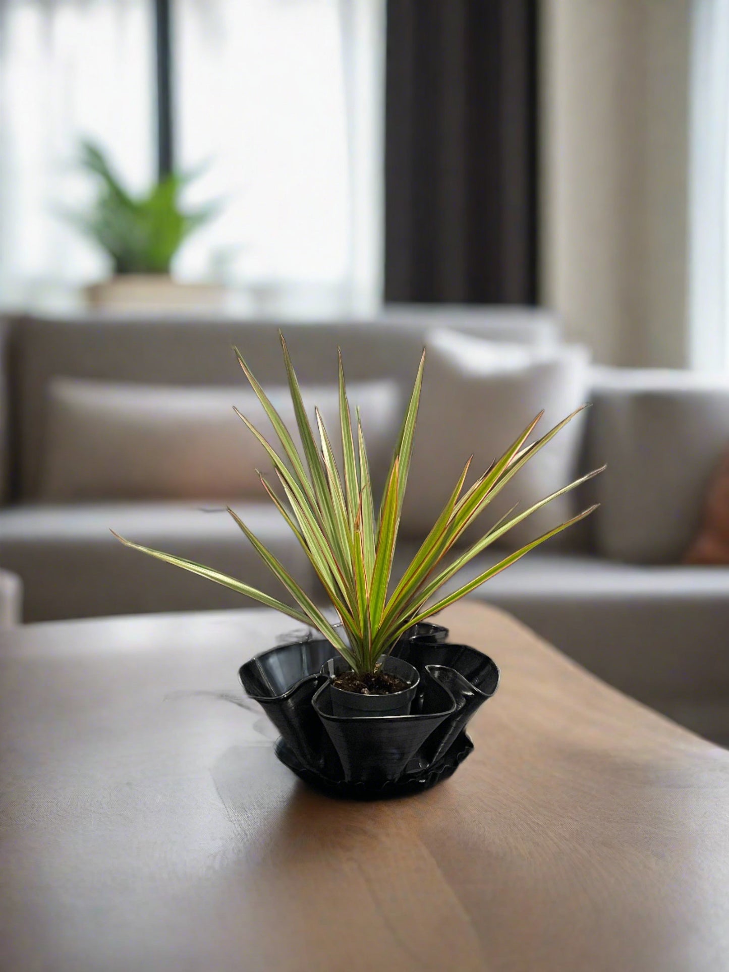 12" Vinyl Record Planter with 7" Vinyl Record Tray