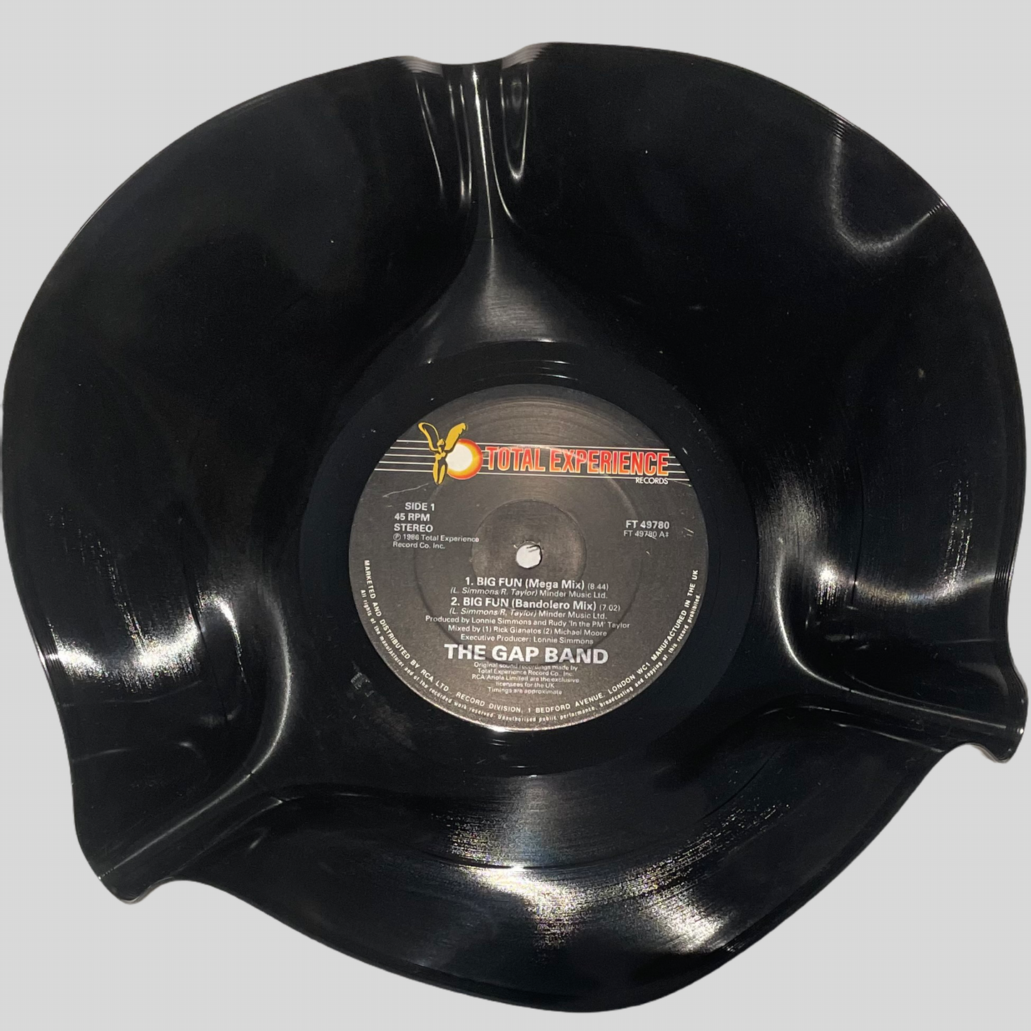 The 'Total Experience’ 12" Vinyl Record Bowl