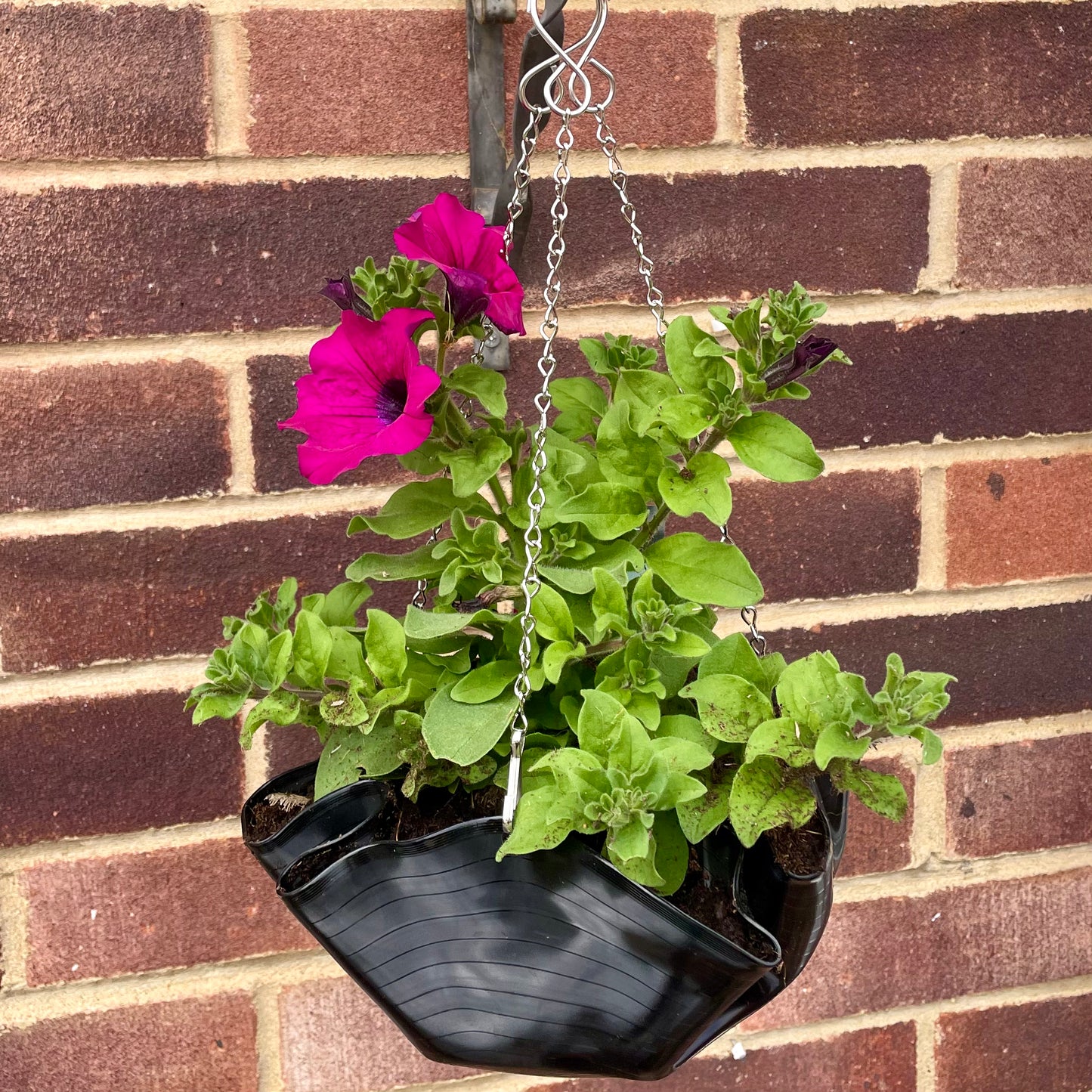 12" Vinyl Record Hanging Planter