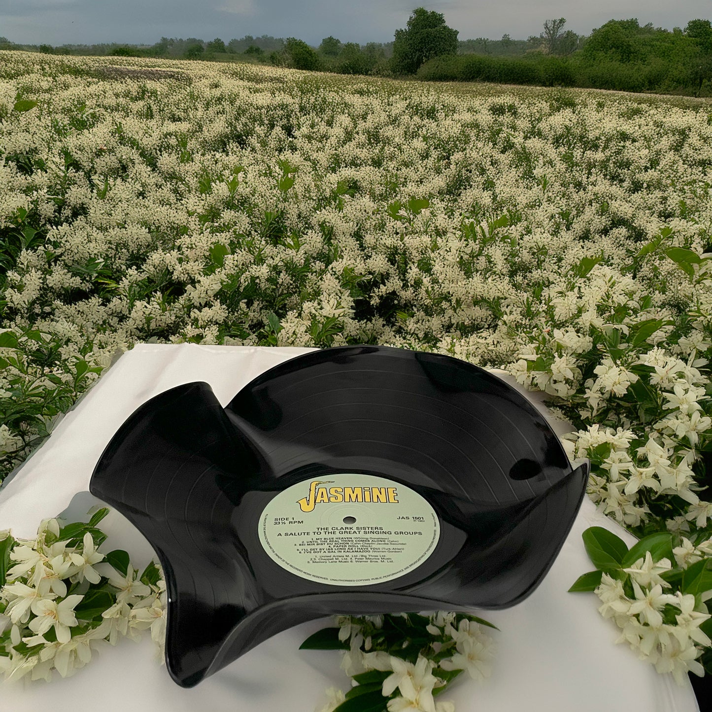 The ‘Jasmine’ 12" Vinyl Record Bowl