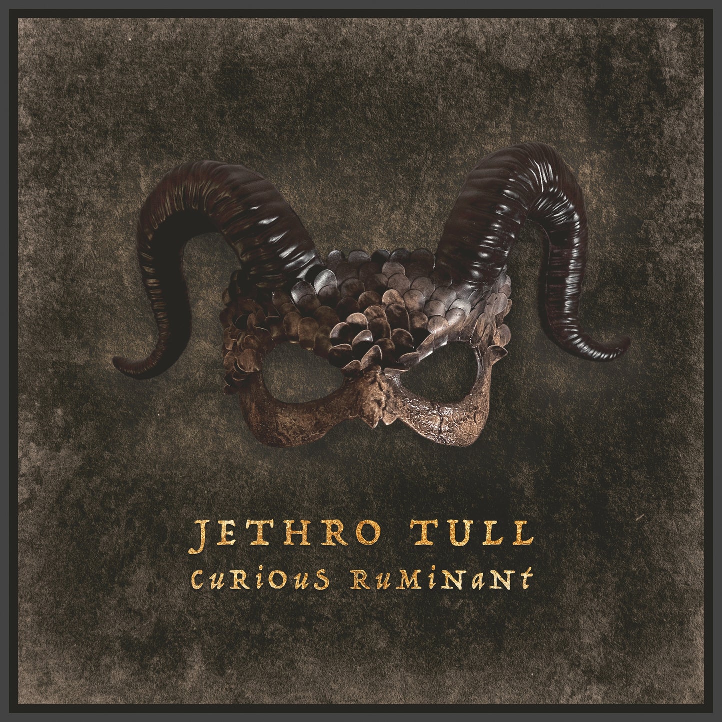 PRESALE - Jethro Tull - Curious Ruminant - Vinyl 180g Clear 2LP + 2CD + Blu Ray Artbook